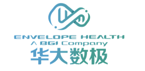 华大数极